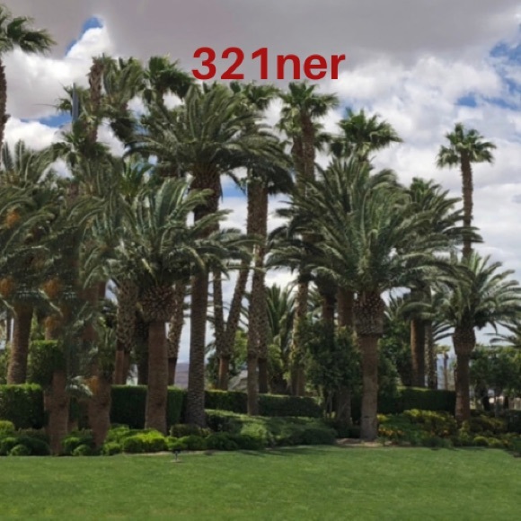 Meet your Posher, El - Picture 1 of 1